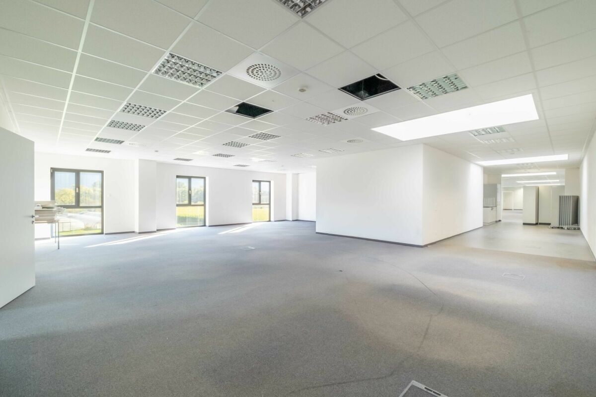 Attraktives Büro für Unternehmen & Agenturen - hell, modern und zentral in Buchs SG