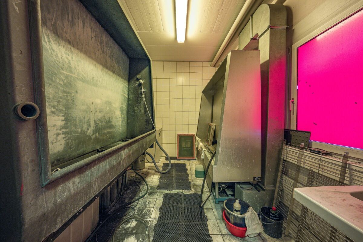 Gewerbe- und Büroflächen an optimaler Lage mit Showroom