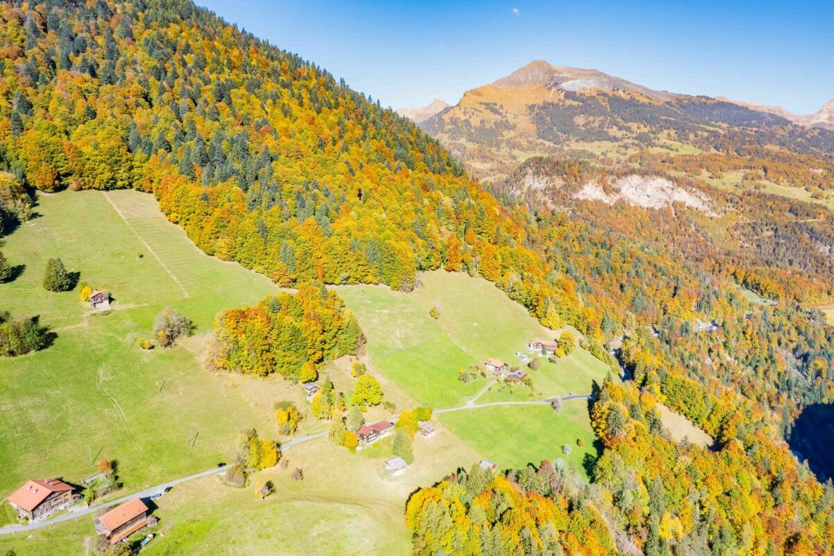 Idyllisches Maiensäss zu verkaufen